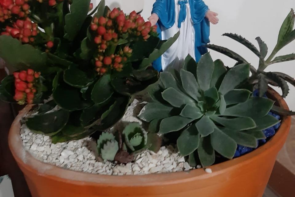 negocio2
