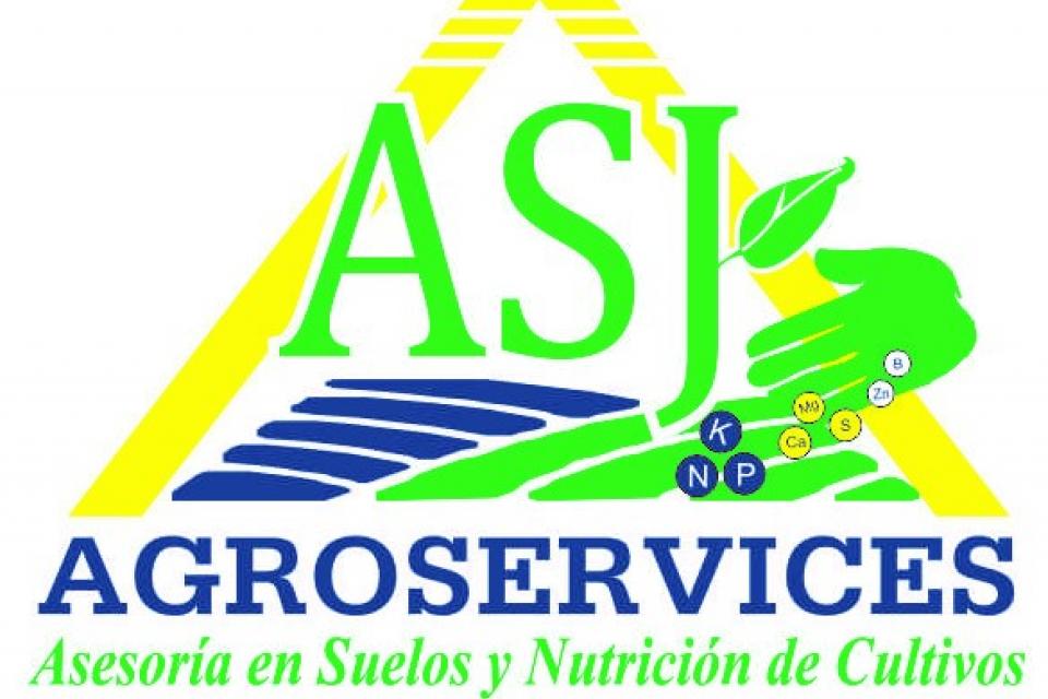 negocio1