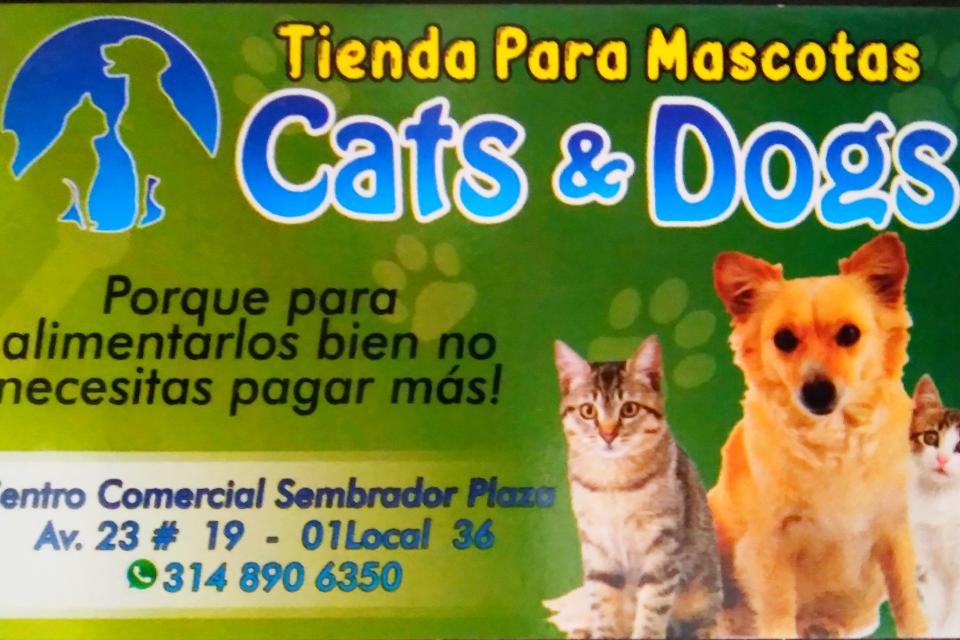 negocio1
