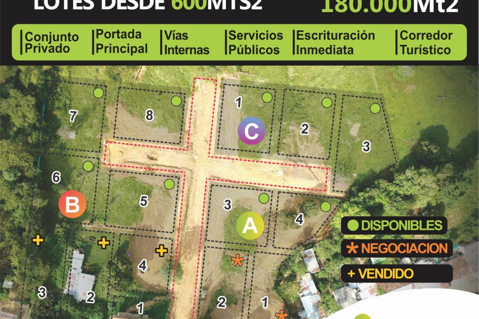 negocio2