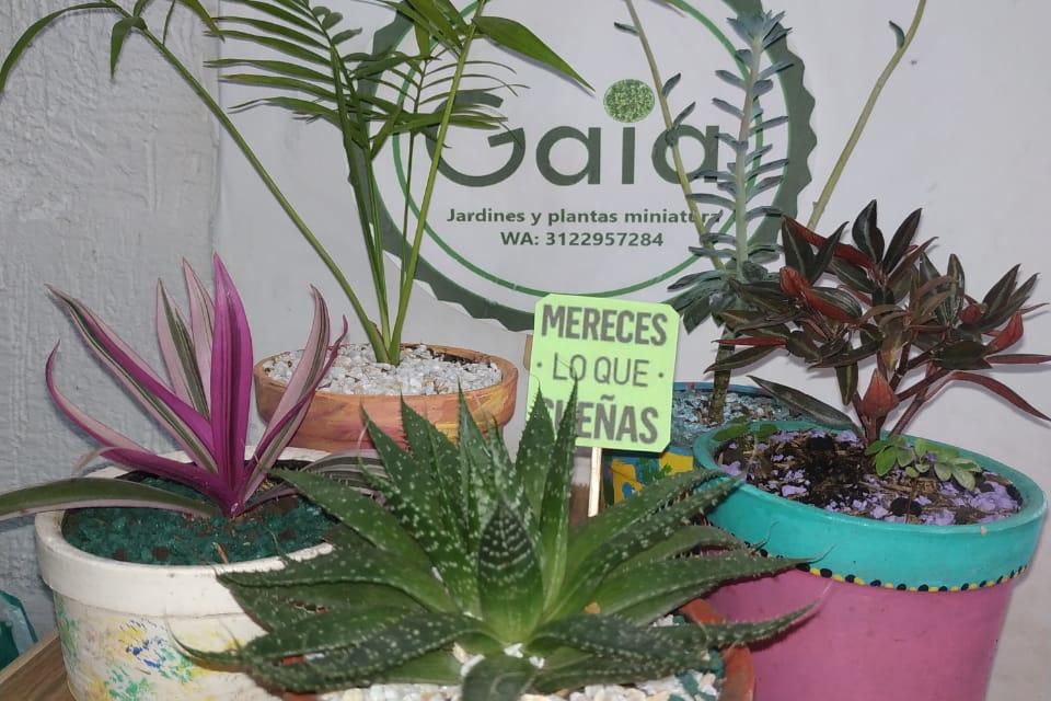 negocio3