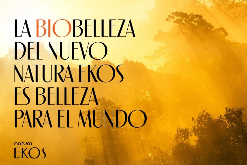 negocio3