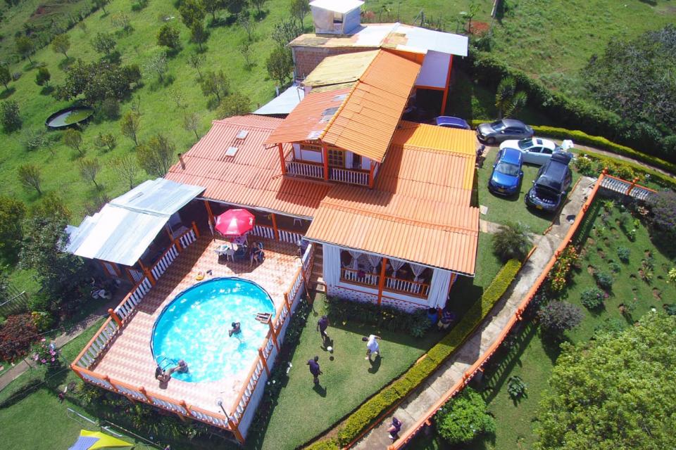 negocio1