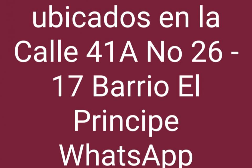 negocio2