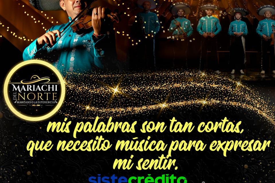 negocio3